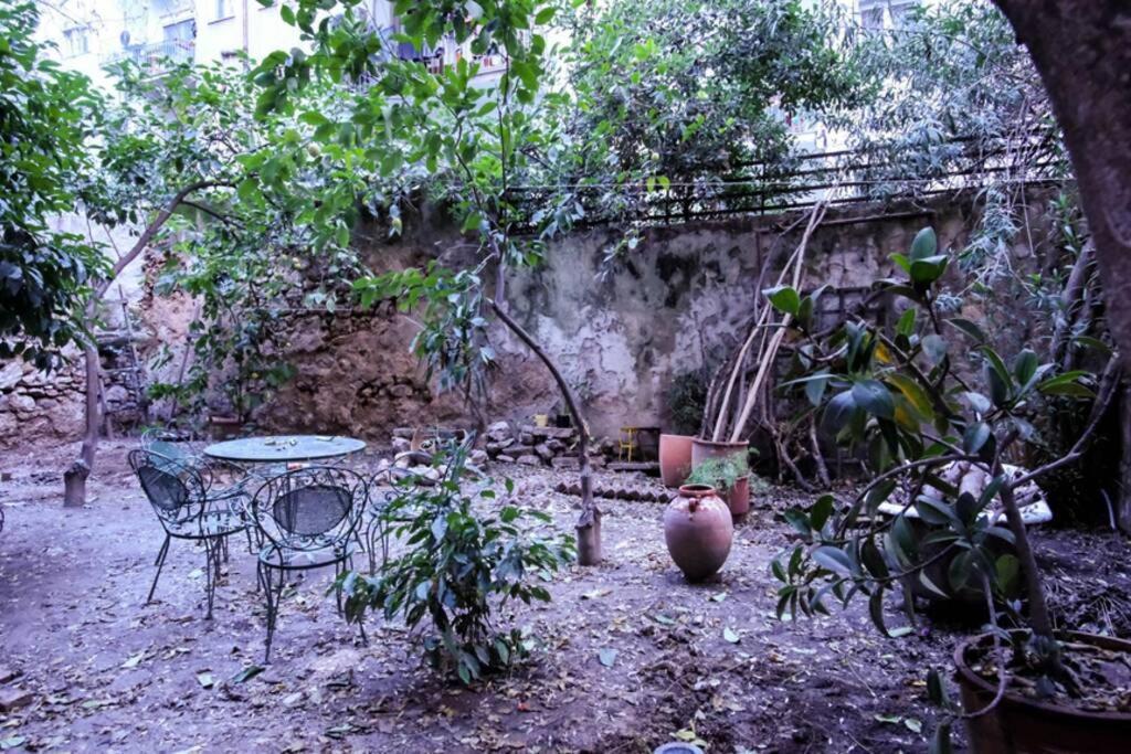 Calm And Cozy Flat With Romantic Garden Athens Ngoại thất bức ảnh